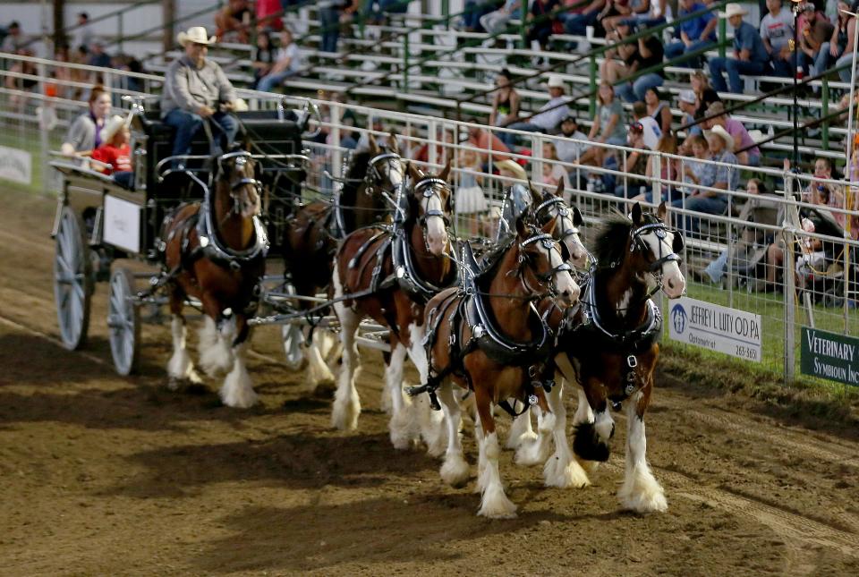 Mark DeCoudres, owner of Broken Spoke Clydesdales, drives his six-horse team in the arena during the 76th annual Wild Bill Hickok PRCA Rodeo Bulls, Broncs and Barrels night Wednesday, August 3, 2022, at Eisenhower Park in Abilene.