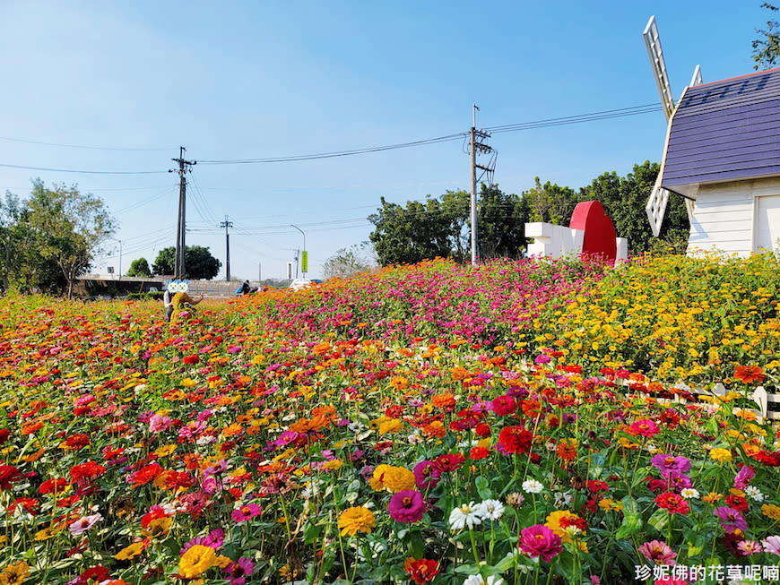 屏東｜新埤鄉綜合休閒公園