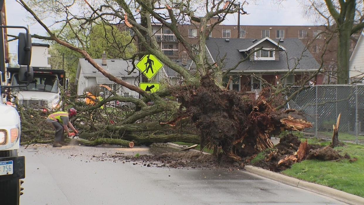 <div>Storm damages on Paxton and Seratoga streets in Ferndale.</div>