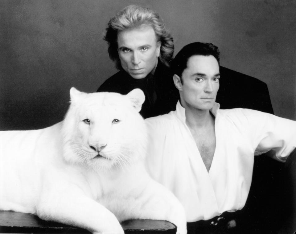 Siegfried und Roy mit einem ihrer berühmten weißen Tiger in den 1970ern (Bild: Michael Ochs Archives/Getty Images)