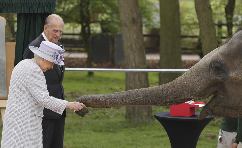 <p>Bei der Eröffnung des „Centre for Elephant Care“ im Whipsnade Zoo in London wird Queen Elizabeth von einem kleinen Elefanten begrüßt. (Bild: Chris Radburn//PA via AP Photo) </p>