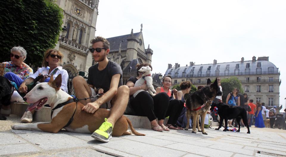 Dog owners gather behind the Louvre Museum in Paris prior to a march toward the Tuileries Gardens, in Paris, Saturday June 8, 2013. At least 100 pooches with owners in tow, holding leashes marched near the Louvre at a demonstration to demand more park space and access to public transport for the four-legged friends. (AP Photo/Remy de la Mauviniere)