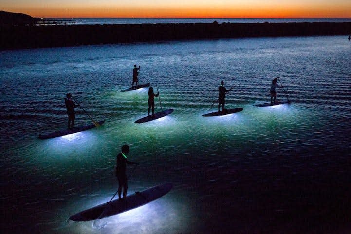 TripAdvisor midnight paddleboarding