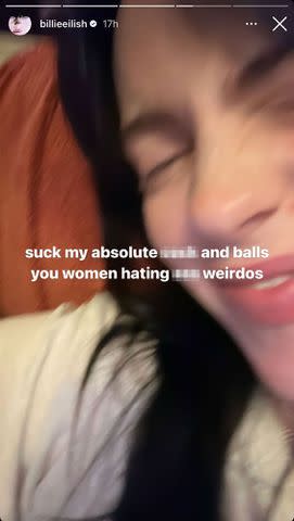 <p>Billie Eilish/Instagram</p> Billie Eilish calls out critics on her Instagram Story