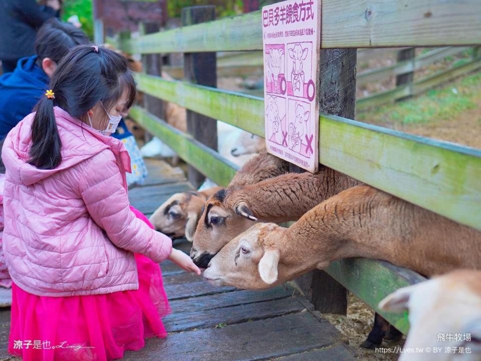 苗栗飛牛牧場兩天一夜親子遊