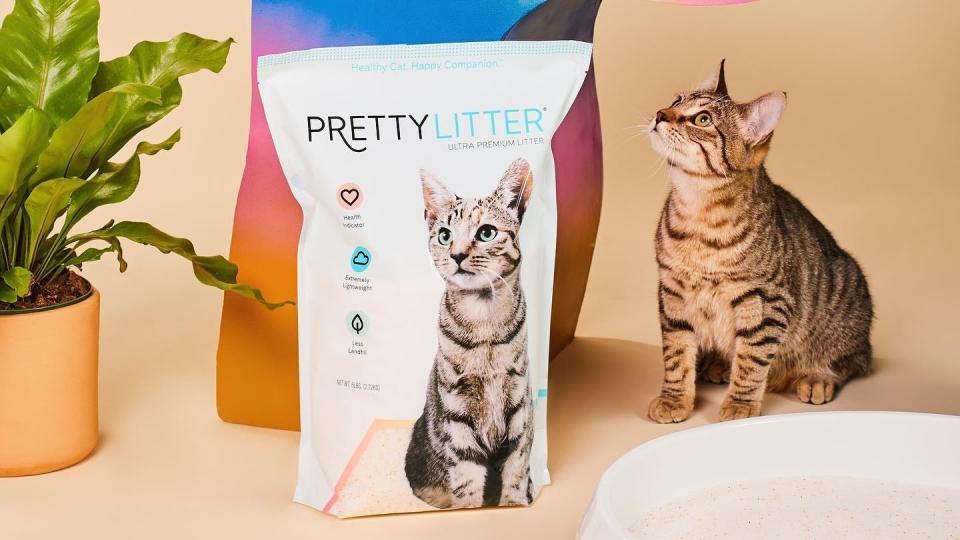 Best cat gifts: Pretty Litter