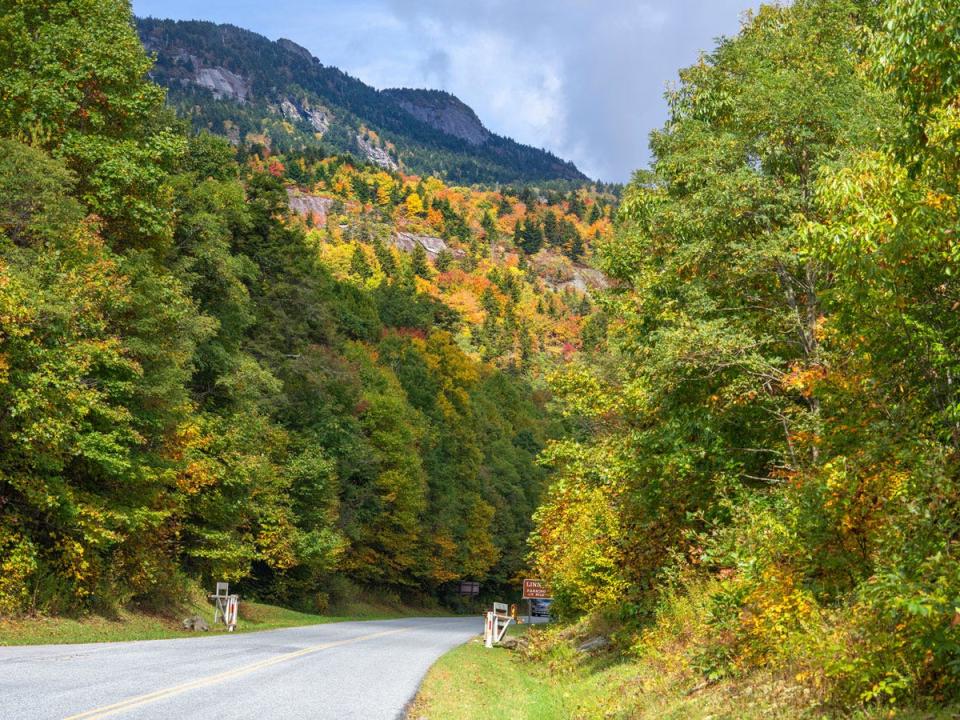 Blue Ridge Parkway road in autumn