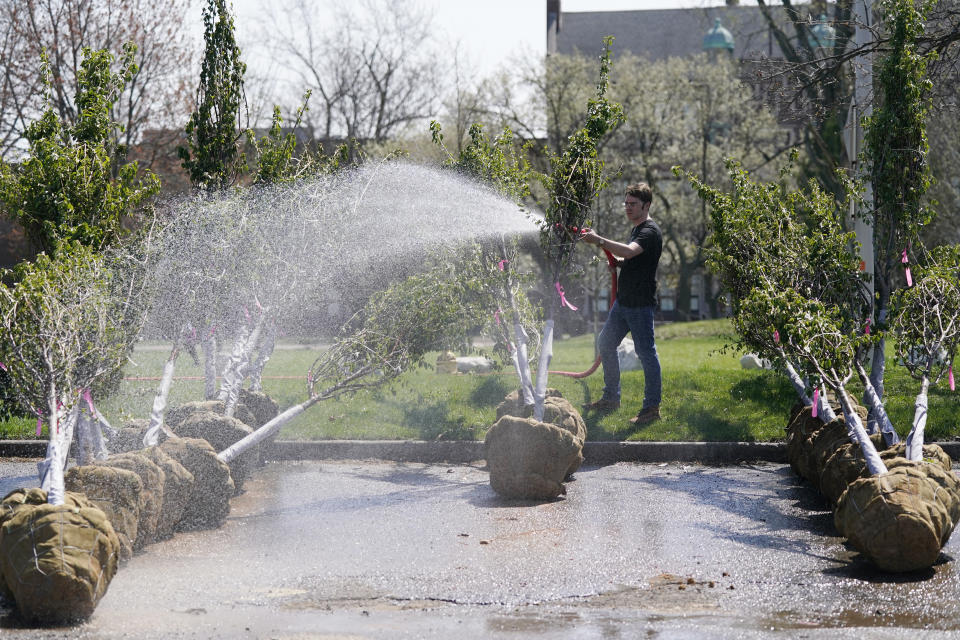 Trees are watered at the Coleman Young Community Center before planting, Friday, April 14, 2023, in Detroit. Trees help suck up heat-trapping carbon dioxide from the atmosphere and reduce erosion and flooding. They're also credited with helping to save lives, considering heat is the leading cause of weather-related deaths in the U.S., according to the Centers for Disease Control and Prevention. (AP Photo/Carlos Osorio)