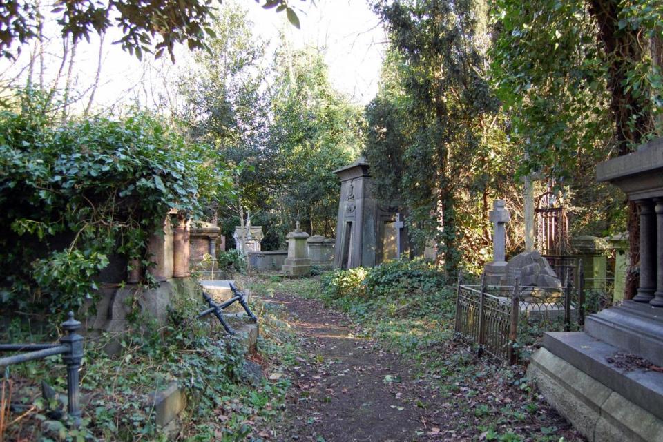 (Alex Norton/Highgate Cemetery)