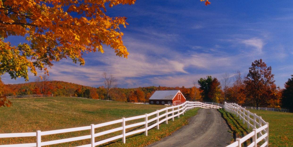 white wooden fence along farm