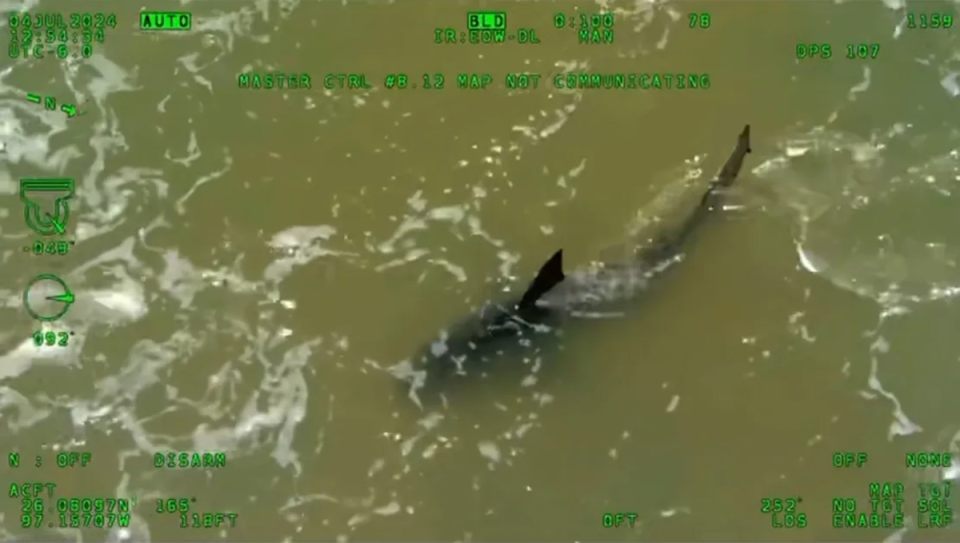 A Texas Department of Public Safety helicopter flying  over South Padre Island spotted a shark in the waters after the attacks on Independence Day (Texas DPS)