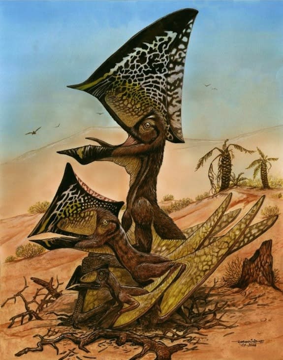 A new species of flying reptile from the Cretaceous Era, <i>Caiuajara dobruskii</i>i, has been unearthed in southern Brazil. The creature, described in a 2014 PLOS ONE paper, sported a bony crest on its head.