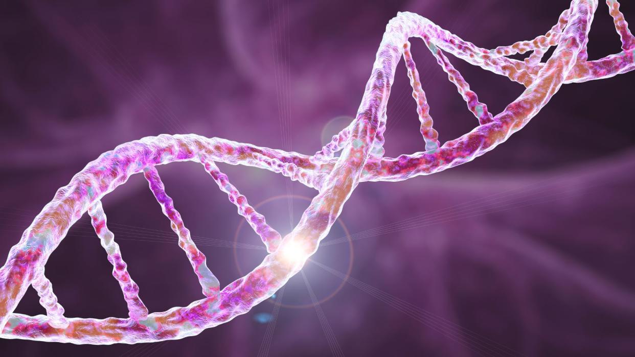  illustration of a DNA molecule, depicted in pink 