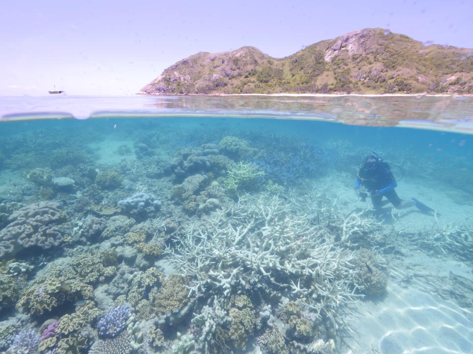 From above the water we look down to see a diver swimming amongst bleached coral with an island in the background.