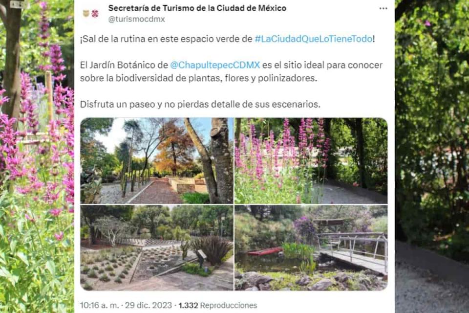 jardín botánico de chapultepec