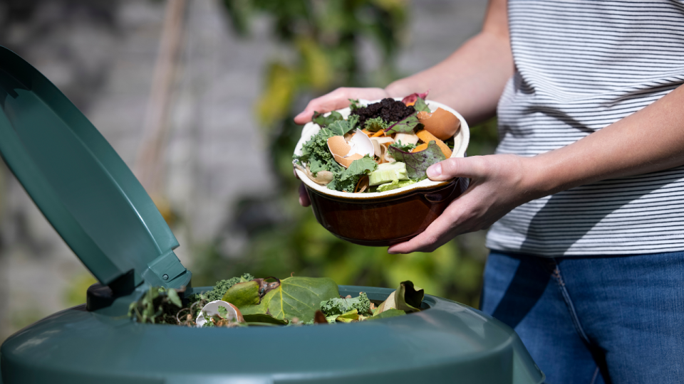 A surefire way to reduce food waste—and get something out of it—is by composting.