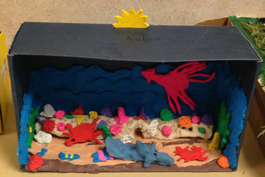 Great Barrier Reef dioramas