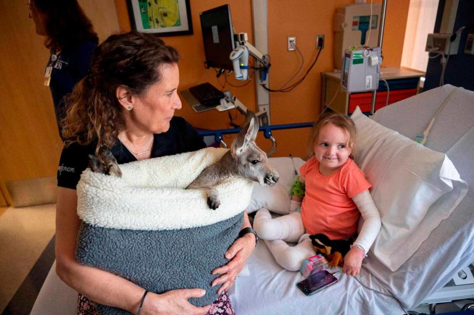 Corrine Brindley, left, an animal handler with SeaWorld San Diego, sits on Kiira Kinkle’s hospital bed and she holds a kangaroo named Fuzz Bucket in a basket for young patients at Sutter Medical Center in Sacramento on Wednesday. The visit was part of SeaWorld’s effort to educate children about wildlife conservation with rescued animals. Lezlie Sterling/lsterling@sacbee.com