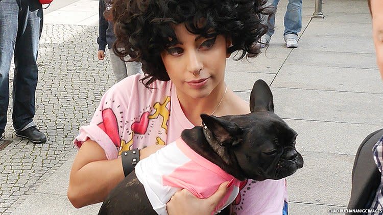 gaga and dog