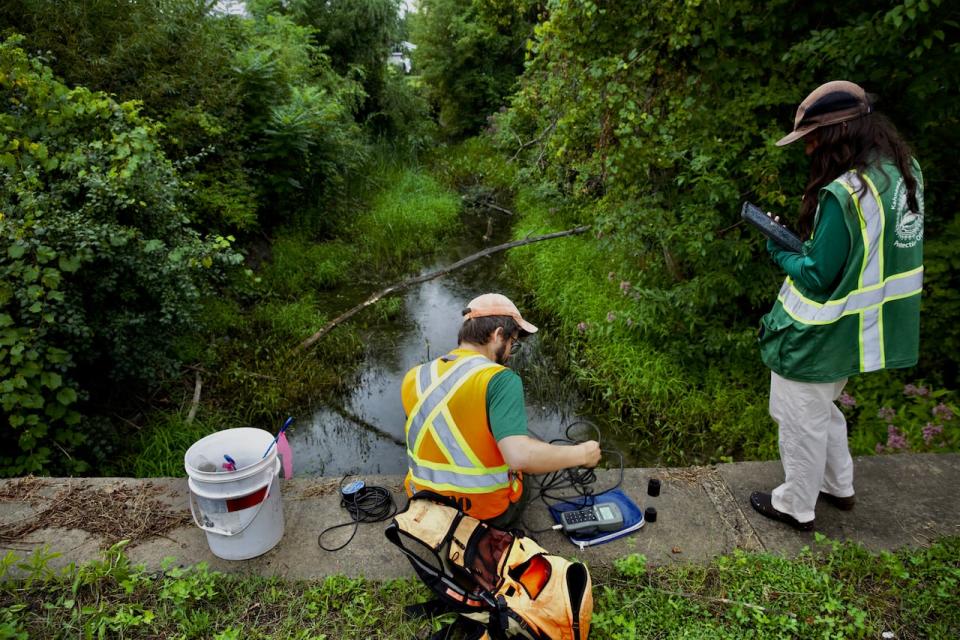 Tyler Moulton and Carlee Loft of the Kahnawà:ke Environment Protection Office were conducting fish sampling in a section of the North Creek on Tuesday, Aug. 28, 2023. 