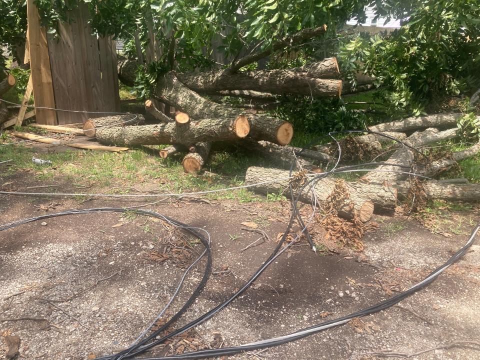 A part of a tree from Melissa Gonzalez's yard fell onto her fence and became entangled in overhead wires during last Thursday's intense storms that cut through Springfield. The tree and several branches cut by a tree service contracted by the city, Gonzalez said, are obstructing the sidewalk in the 1600 block of East Reynolds Street.