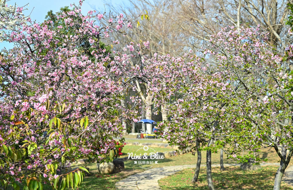 台中｜中科崴立櫻花公園