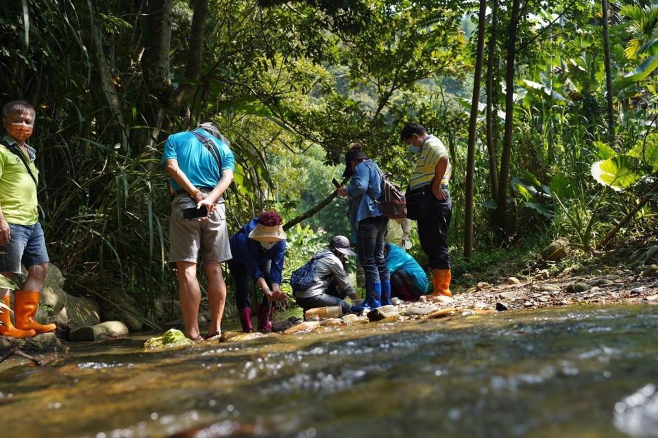 桃米中路坑溪體驗魚蝦生態調查遊程(圖片來源：水保局南投分局提供)