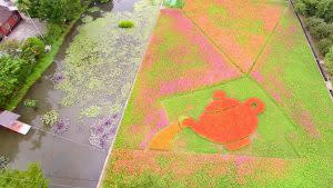 大溪展區有「迎賓奉茶」的茶壺圖騰｜The Daxi exhibition area features a flower field with a teapot pattern. (Courtesy of Taoyuan Flower Festival)