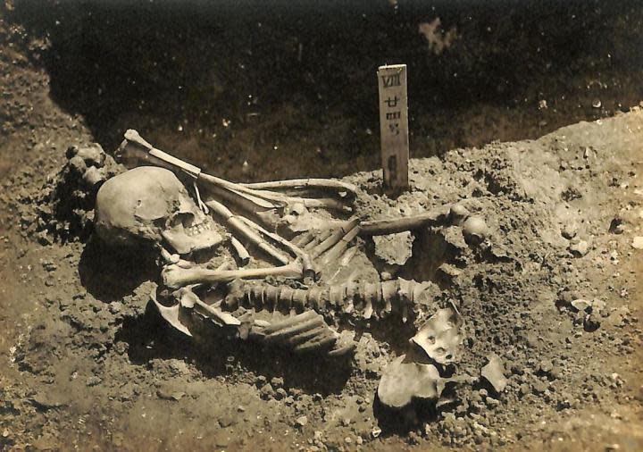 Original excavation photograph of Tsukumo No. 24, courtesy of the Laboratory of Physical Anthropology, Kyoto University (Kyoto University)