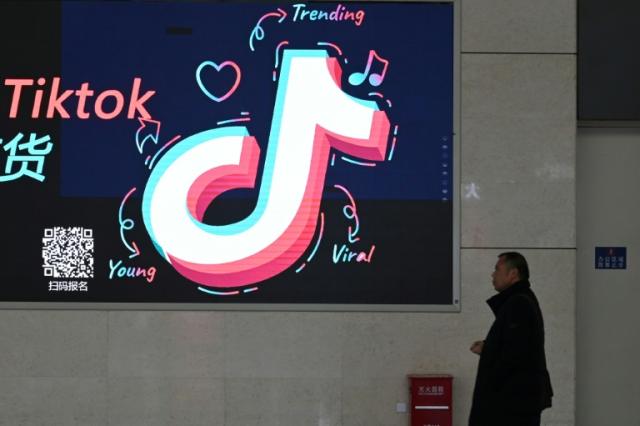 TikTok fined in Italy after 'French scar' challenge led to consumer safety  probe