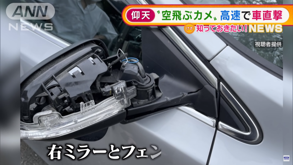 此次的「烏龜事故」導致駕駛汽車的右邊後照鏡及擋泥板損壞。（翻攝自「ANNnewsCH」YouTube）