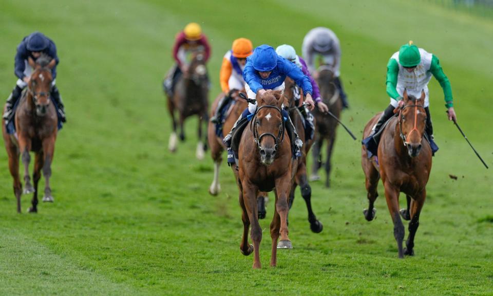 <span>Favourite City Of Troy, left, trails home well beaten after the 2,000 Guineas on Saturday.</span><span>Photograph: Dave Shopland/Shutterstock</span>