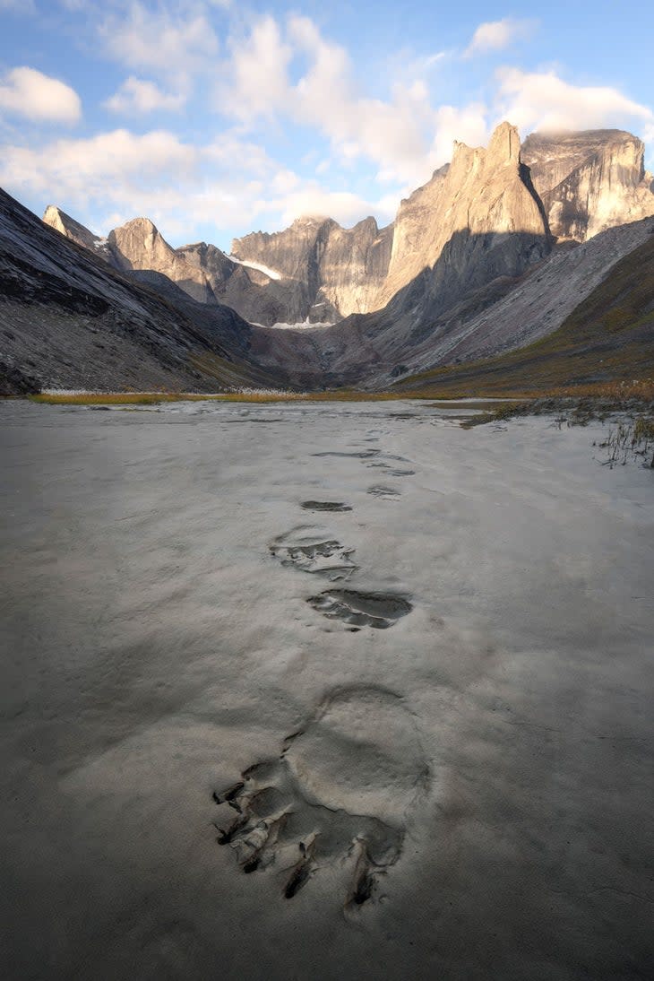 Among the Wild Things - Gates of the Arctic National Park