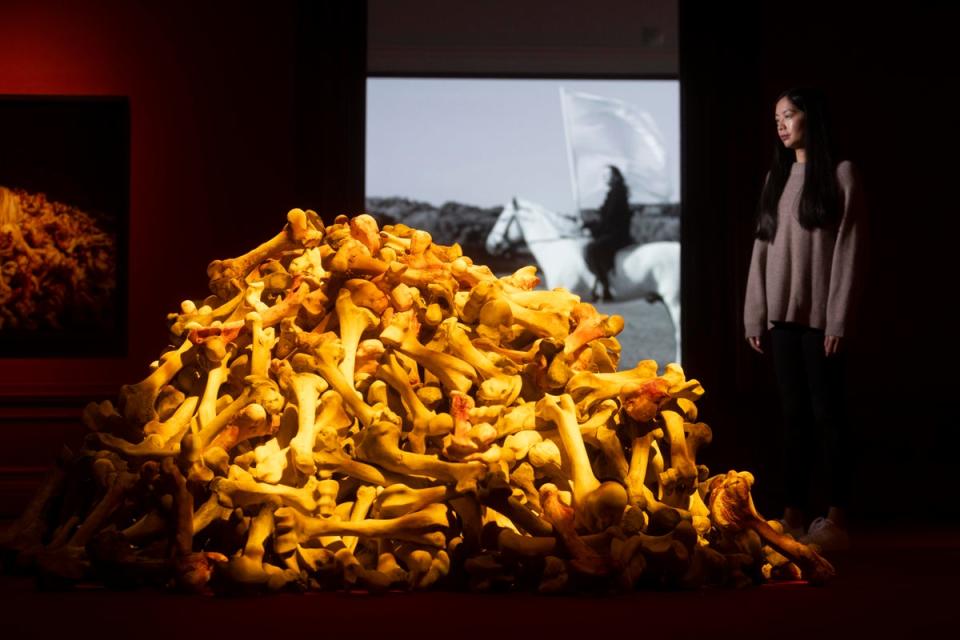 Gallery view of the Marina Abramović exhibition at the RA (David Parry/ Royal Academy of Arts)