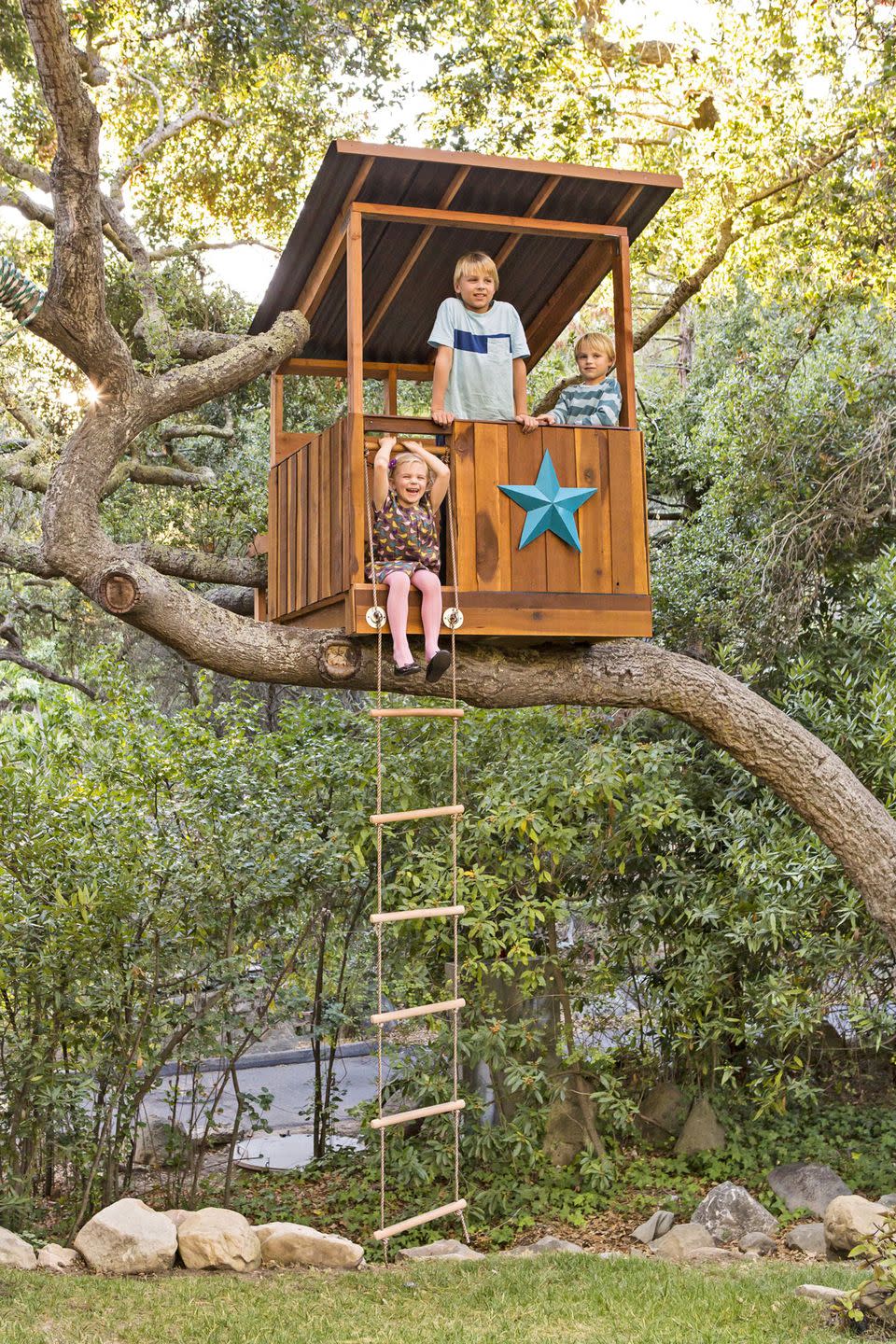 Build Your Dream Treehouse