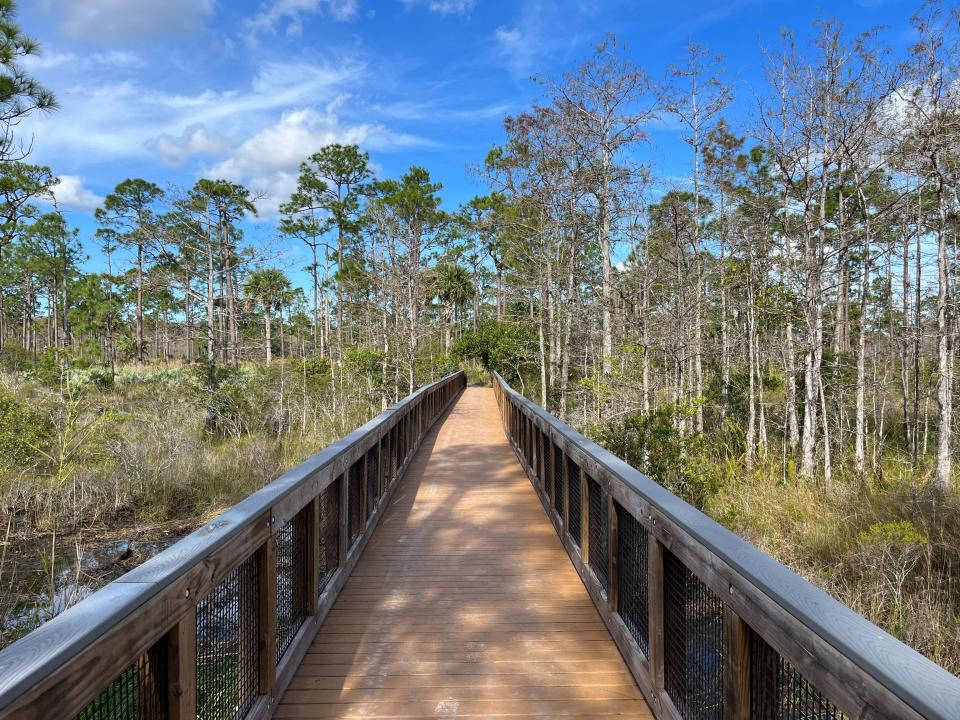 A FWC virtual scavenger hunt leads players to visit Florida’s Wildlife Management Areas.