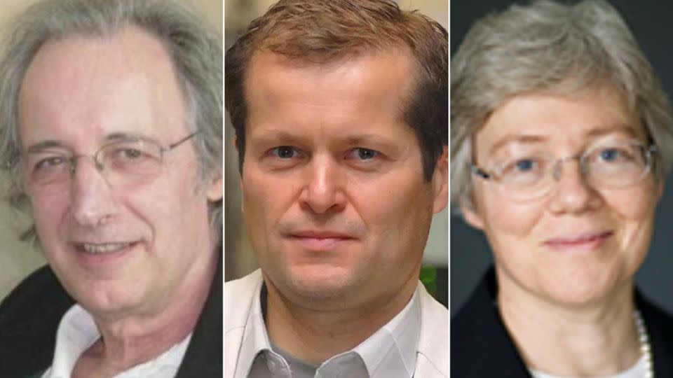 Pierre Agostini, Ferenc Krausz and Anne L'Huillier shared this year's physics prize. - Ohio State University/Max Planck Institute of Quantum Optics/National Academy of Sciences