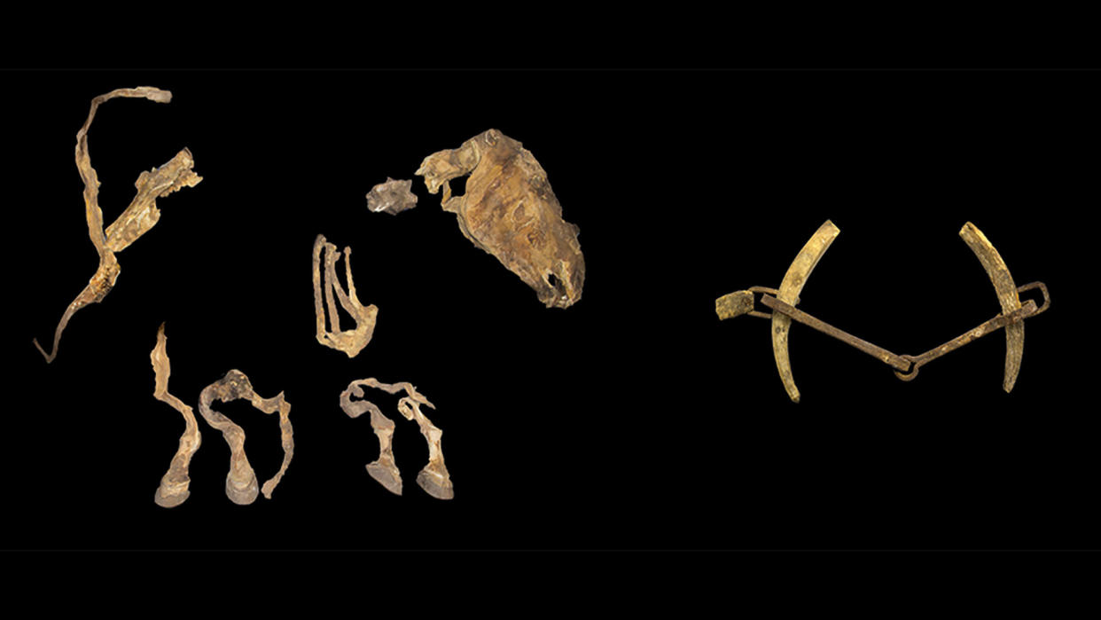  Horse remains and bridle bit from Urd Ulaan Uneet. 