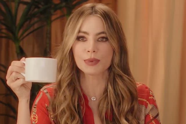 <p>Netflix</p> Sofia Vergara Can Blindly Identify Different Coffees and How They Were Made