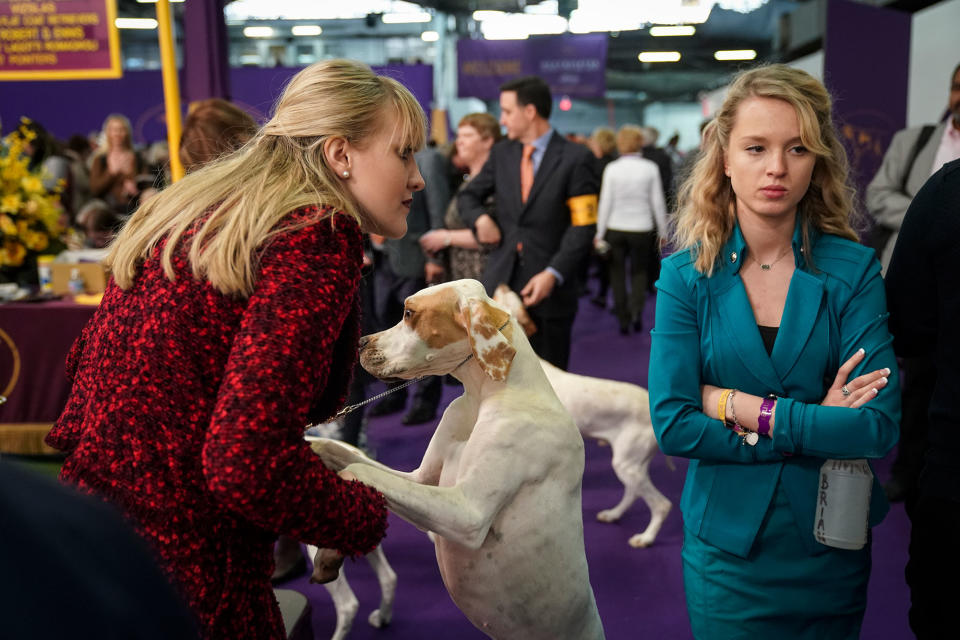 Pointers and their handlers wait to compete