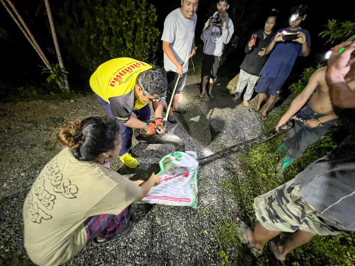 Rescuers attempt to capture the snake.