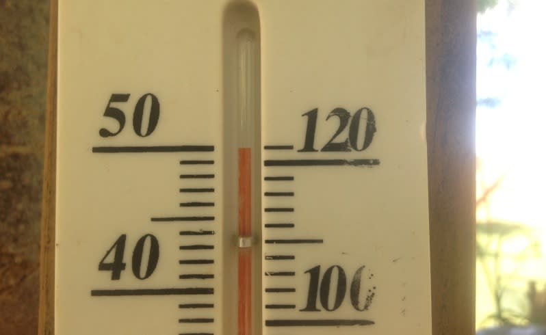 Temperature reading from Yarrie Station. Picture: Annabelle Coppin