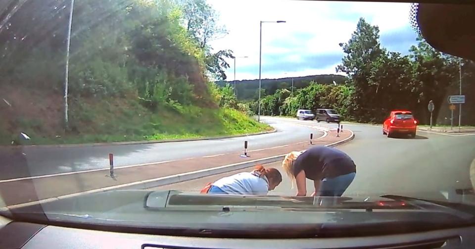 People help the stricken animal to safety after witnessing the kitten being tossed from a moving car (RSPCA/SWNS)