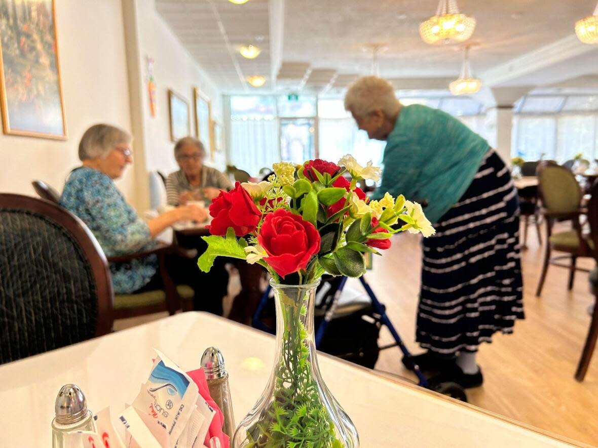 Seniors at Manoir de Casson, a private seniors’ residence in Montreal’s Saint-Laurent borough, had to wait 28 hours to have their power restored during this month's ice storm. (Rowan Kennedy/CBC - image credit)