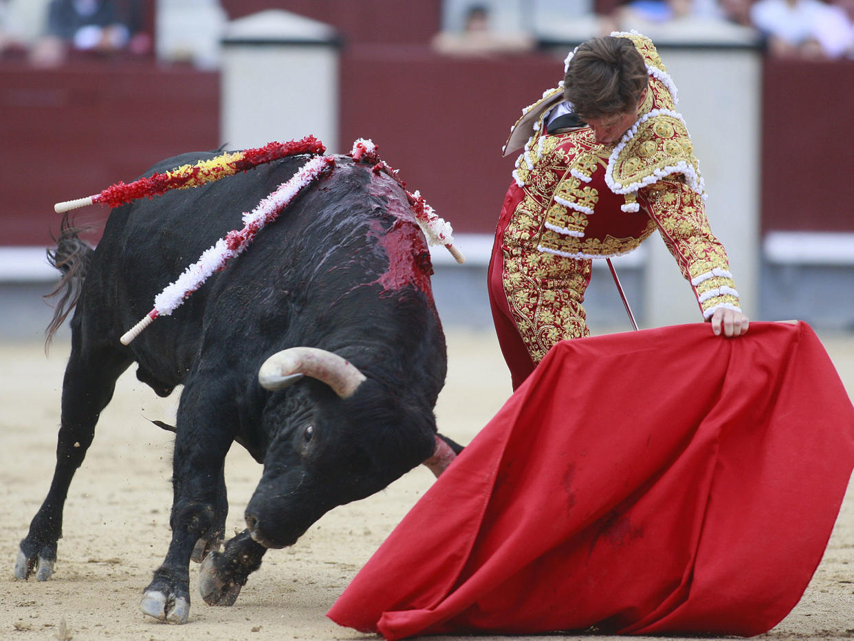 No bull: a recent poll found that less than a third of Spanish people support bullfighting: AFP/Getty