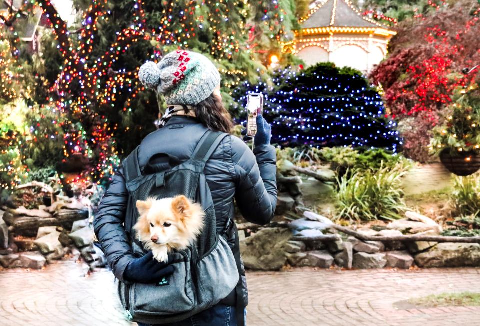 Peddler's Village, in Lahaska, is a popular destination during the holiday season with its illuminated shops and restaurants.