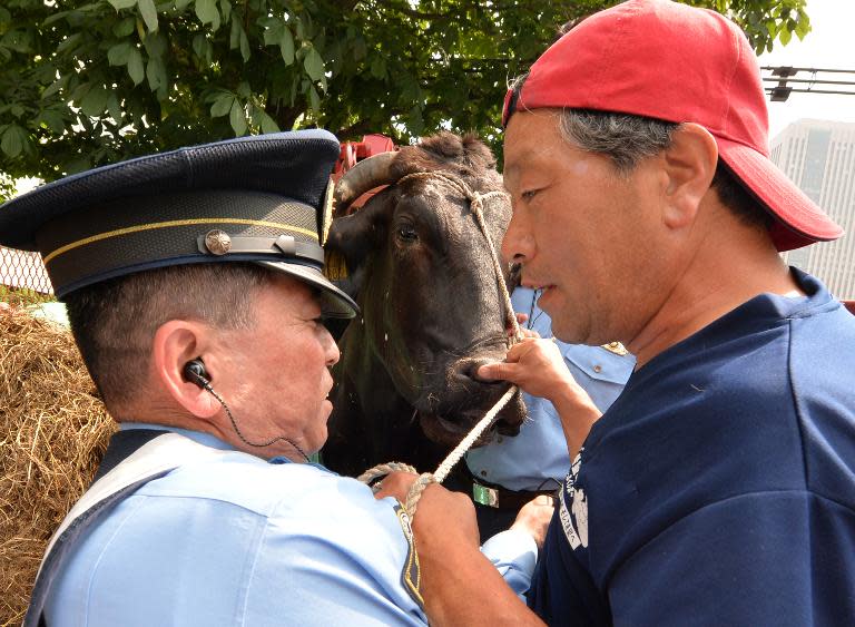 "Kibo no Bokujo" leader Masami Yoshizawa (right) argues with a Japanese policeman as he tries to bring a cow to the agriculture ministry in Tokyo, on June 20, 2014
