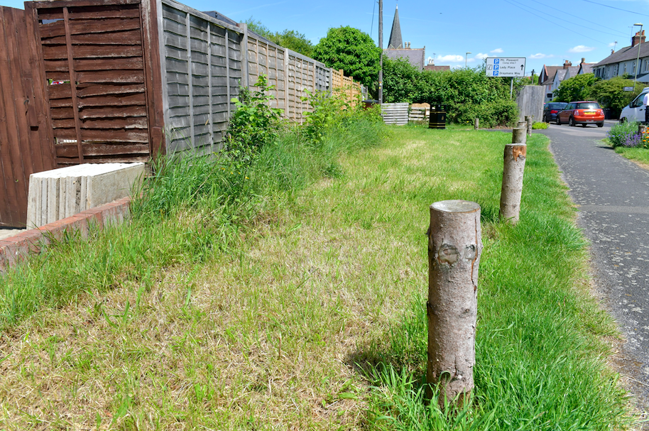 Council contractors destroyed the garden but left weeds to grow. (Solent)