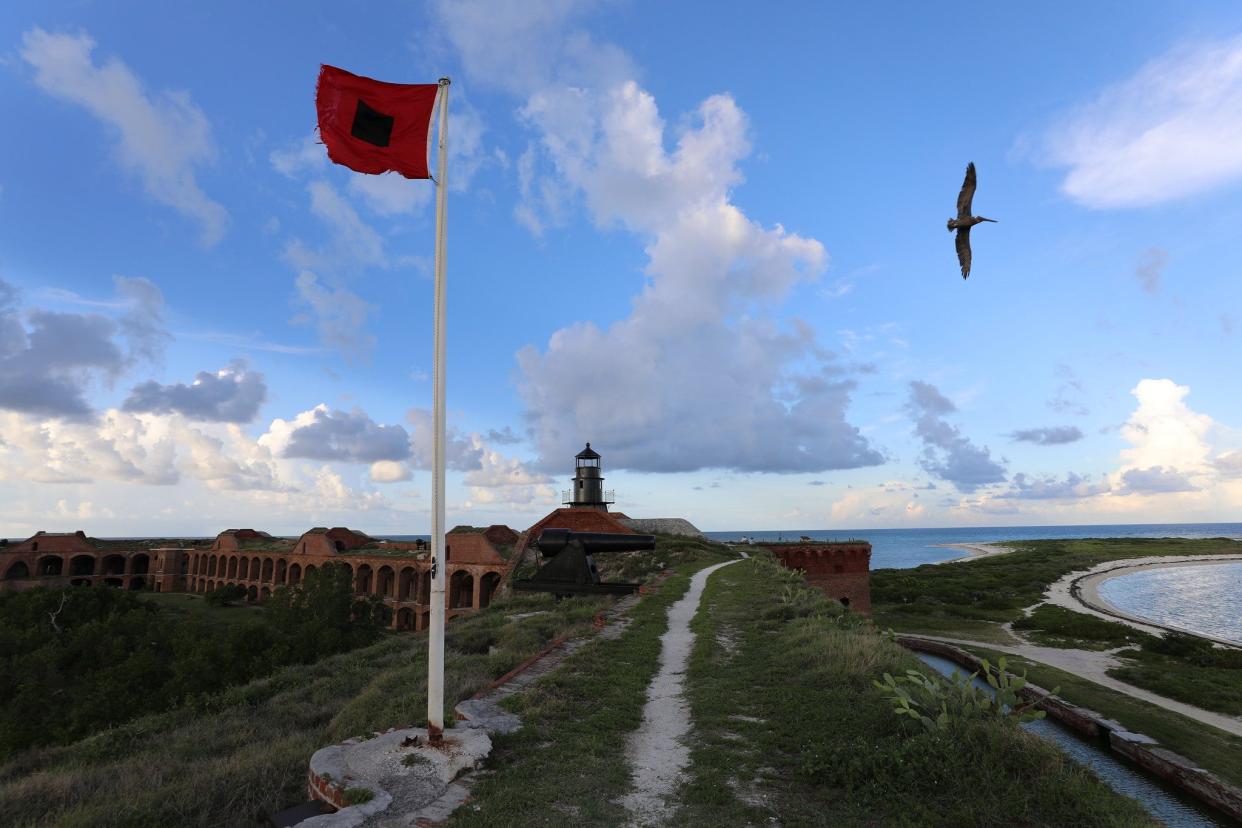 A bird soars over Fort Jefferson at Dry Tortugas National Park.