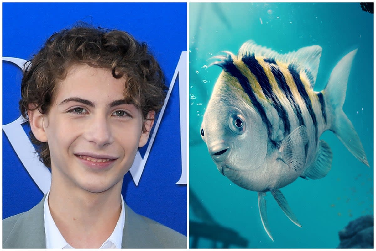 Star of The Little Mermaid remake Jacob Tremblay has defended character Flounder’s new look  (Getty/Disney)